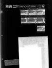 Man looking at forest - Farmville (7 Negatives), October 28, 1965 (Positives included) [Sleeve 84, Folder a, Box 38]